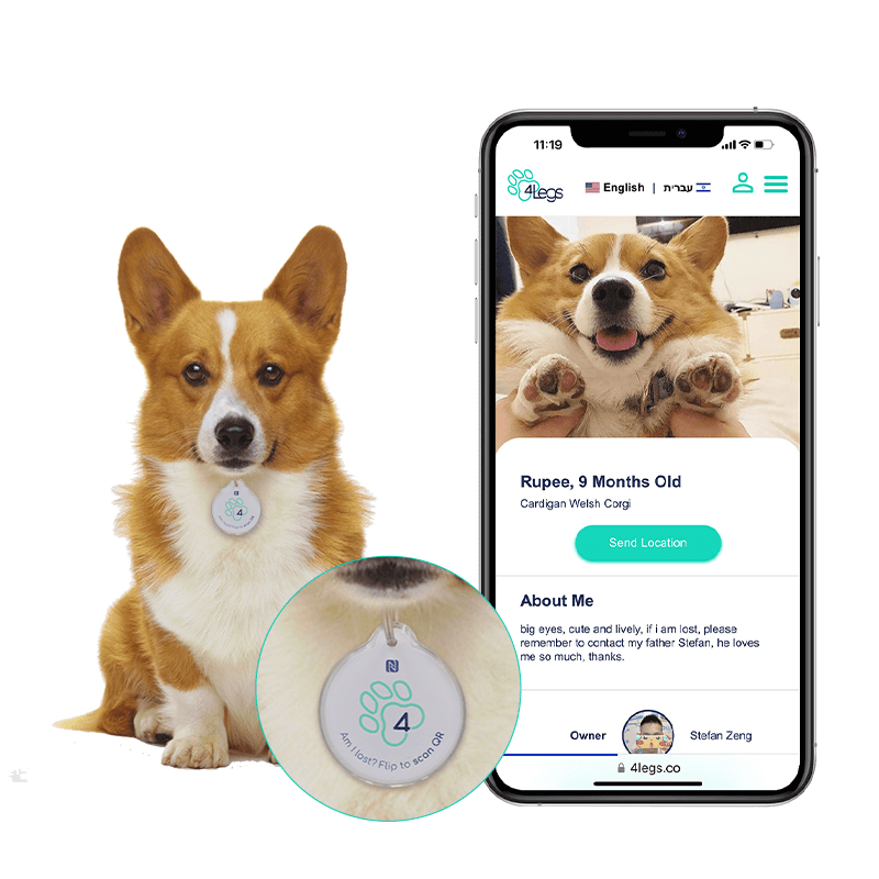 カスタム スマート 13.56 MHz QR コード エポキシ NFC ペット犬 ID タグ